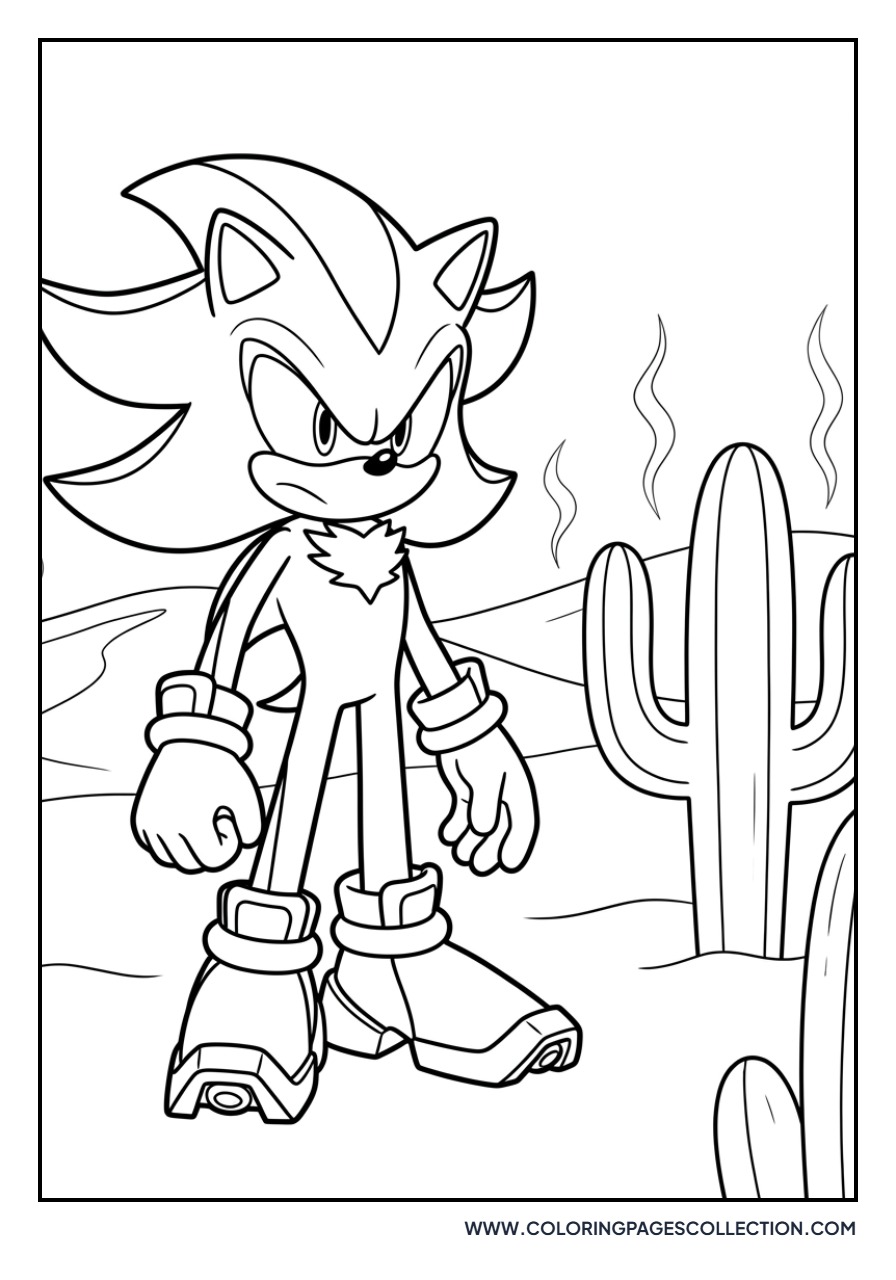 Shadow in the Desert
