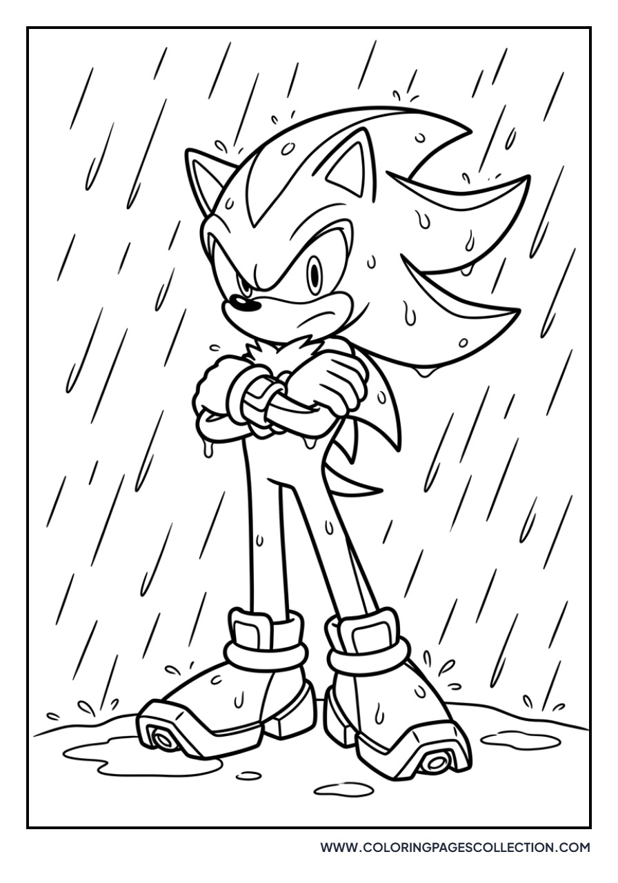 Shadow in the Rain