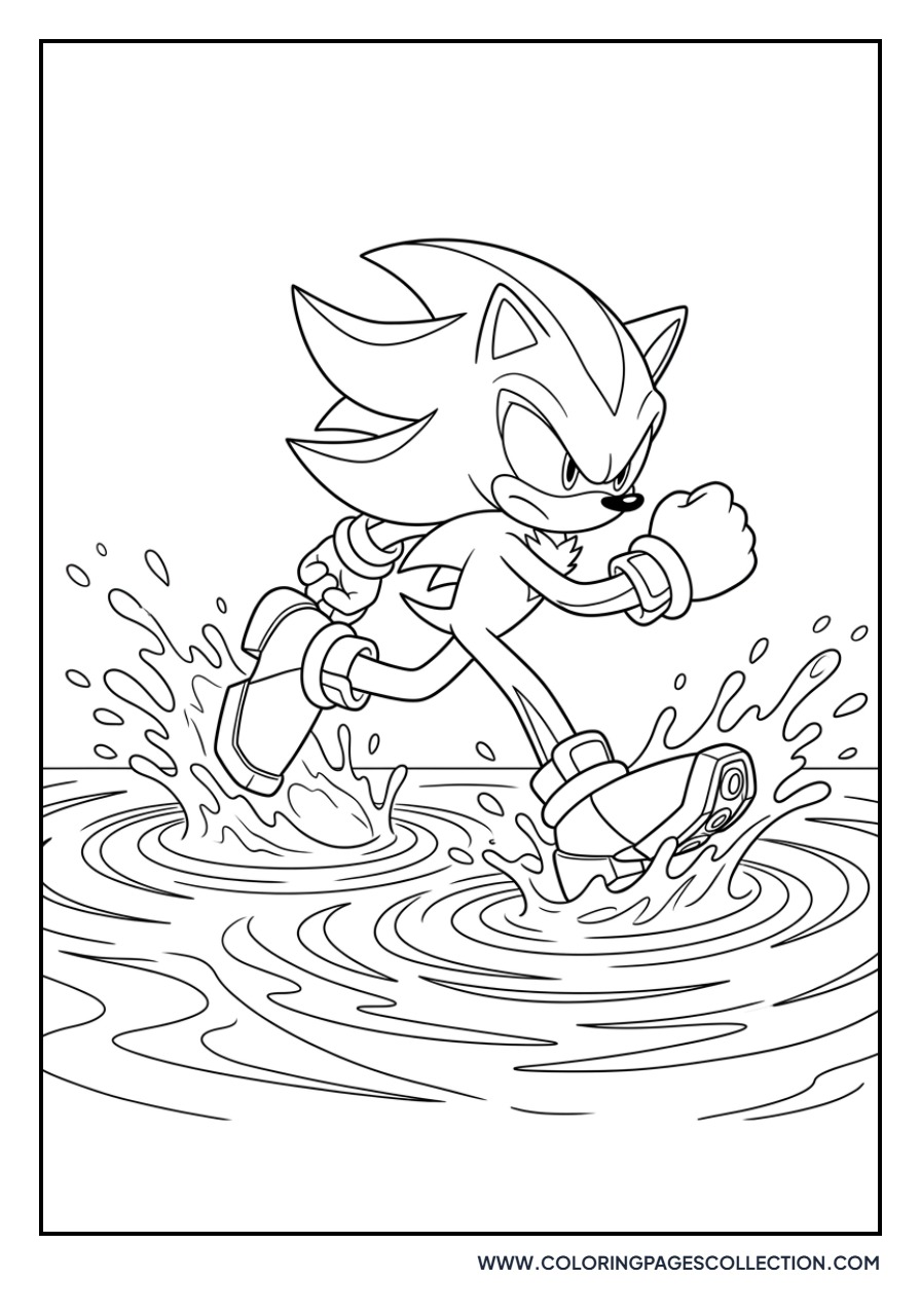 Shadow Running on Water