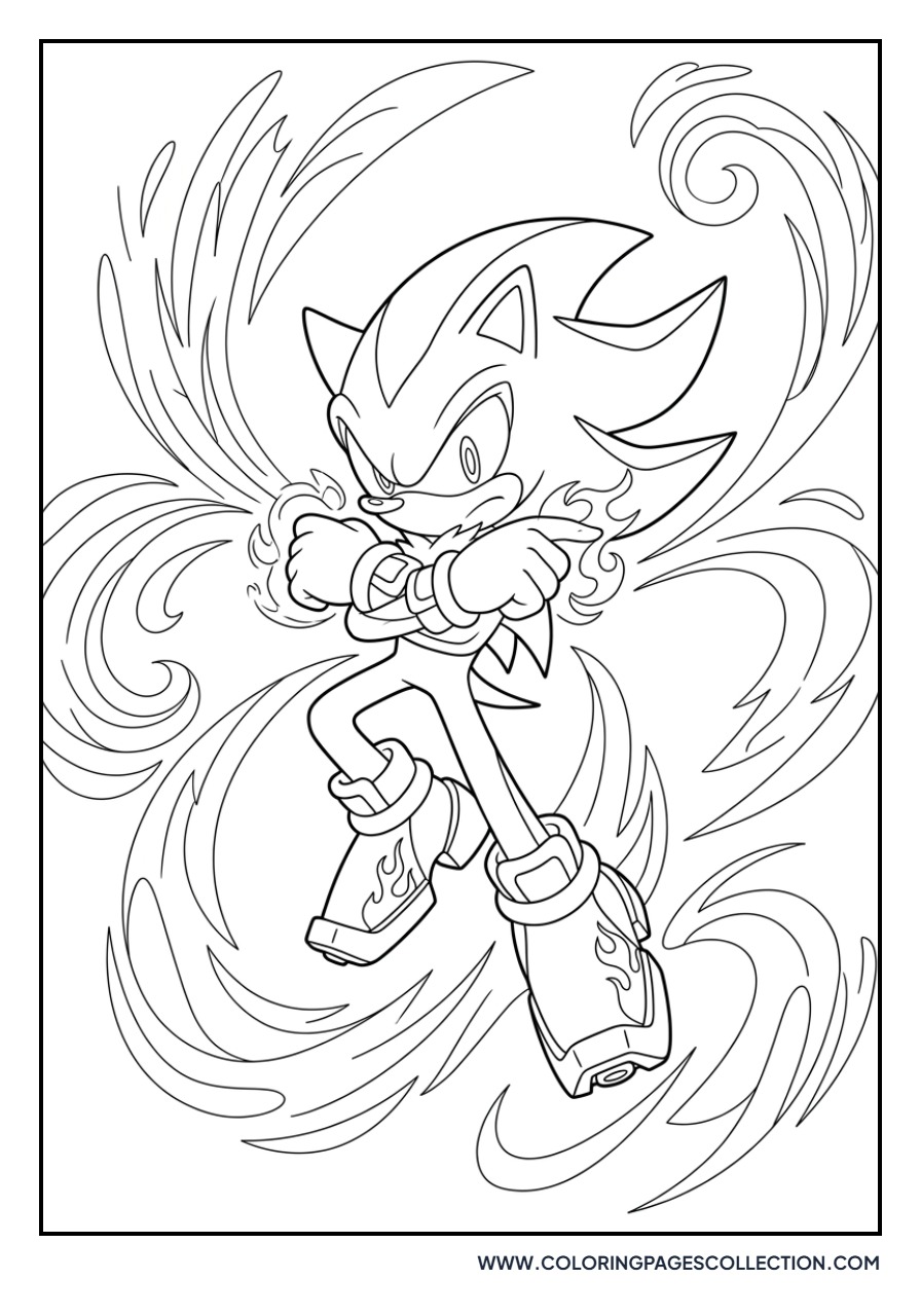 Shadow Using Chaos Control