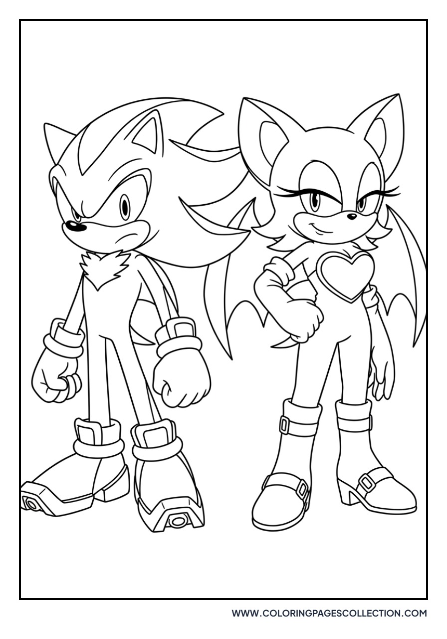 Shadow with Rouge the Bat