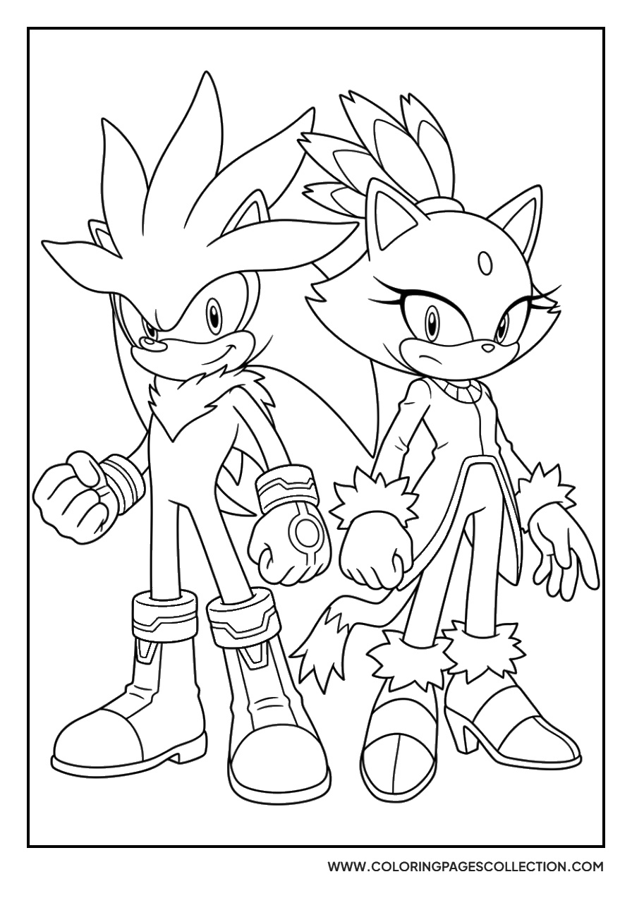Silver and Blaze the Cat