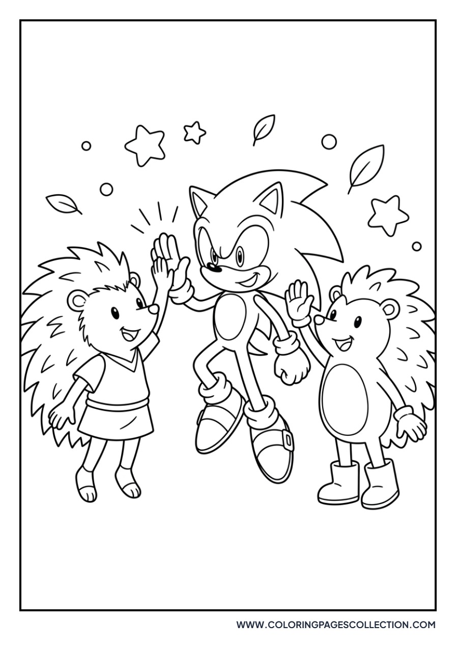 Silver and Sonic Teamwork
