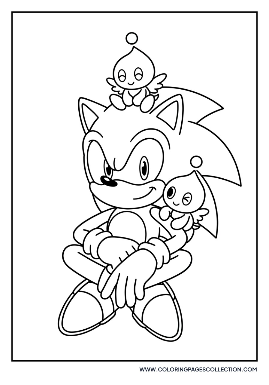 Silver the Hedgehog and Chao