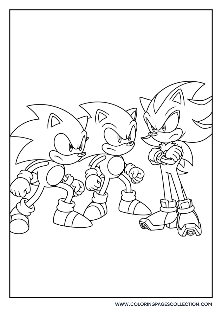 Silver the Hedgehog and Shadow