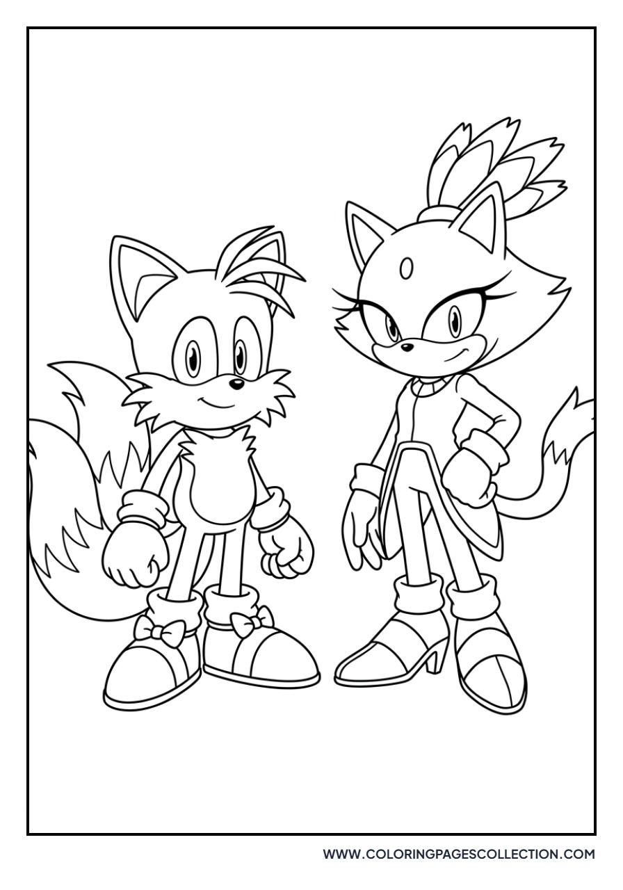 Tails and Blaze the Cat