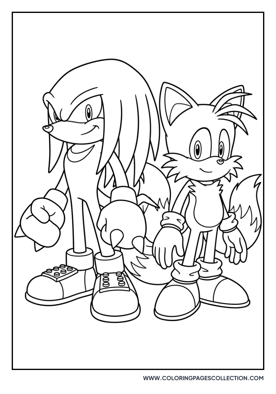 Tails and Knuckles Team