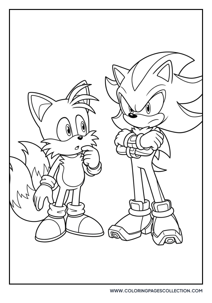 Tails and Shadow the Hedgehog