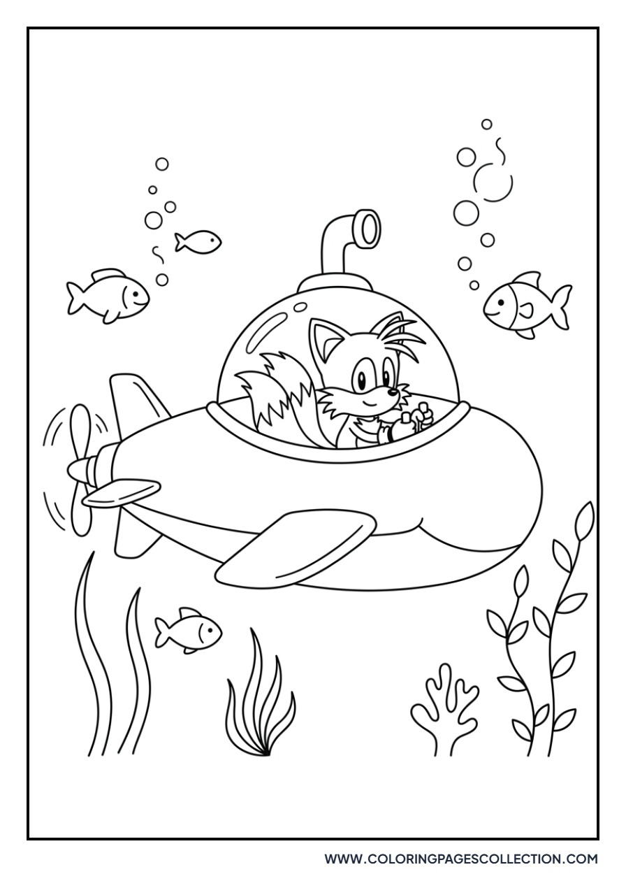 Tails and the Sea Fox