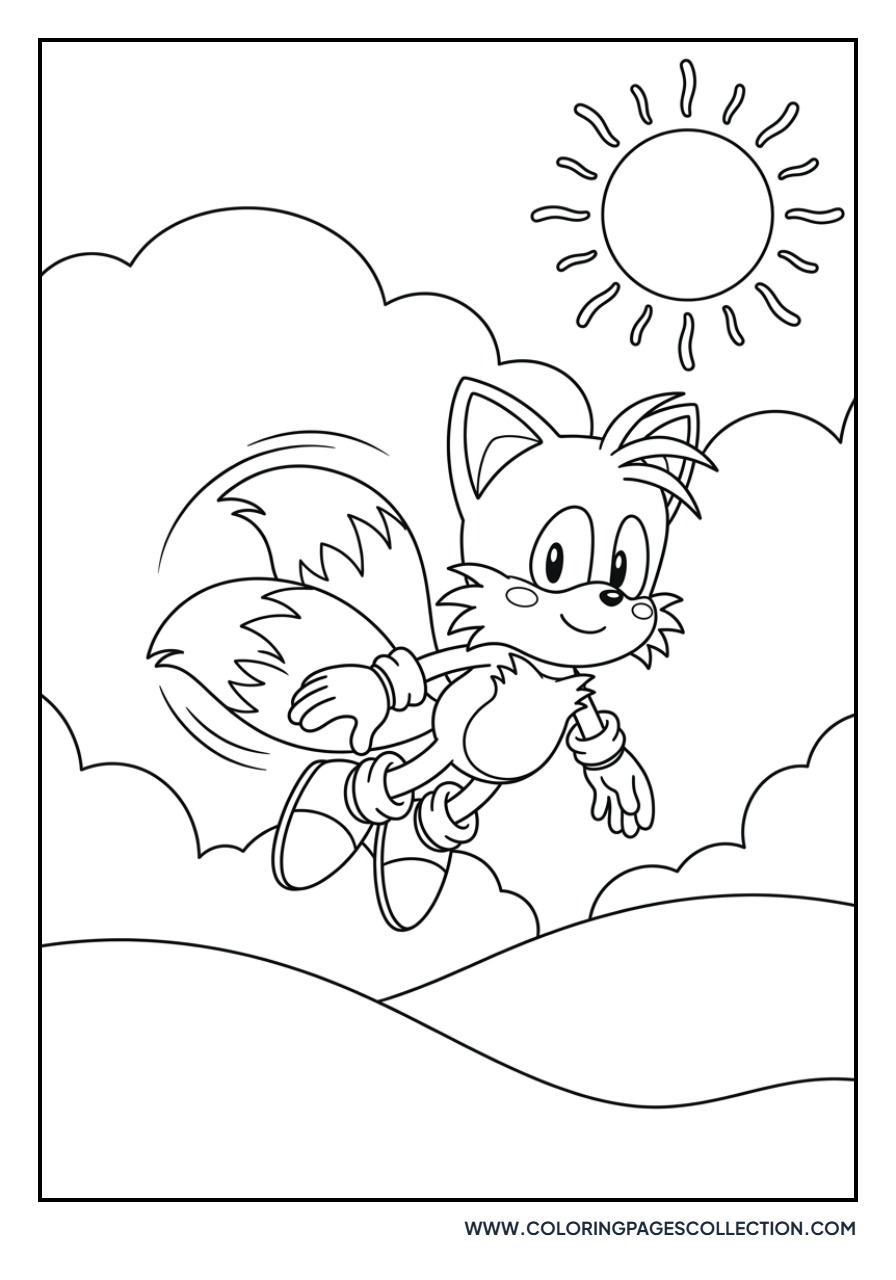 Tails Flying in the Sunset