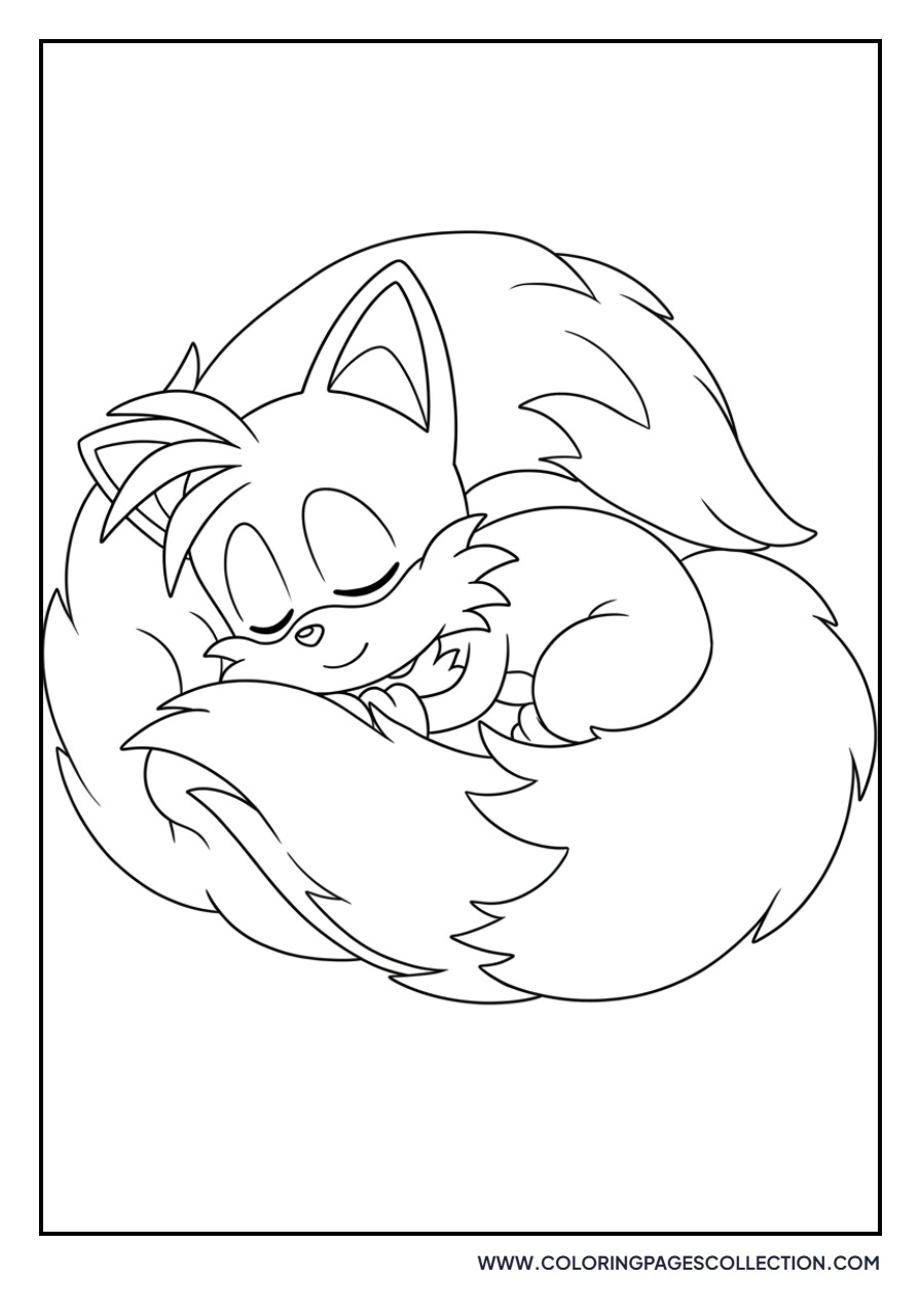 Tails Sleeping Soundly