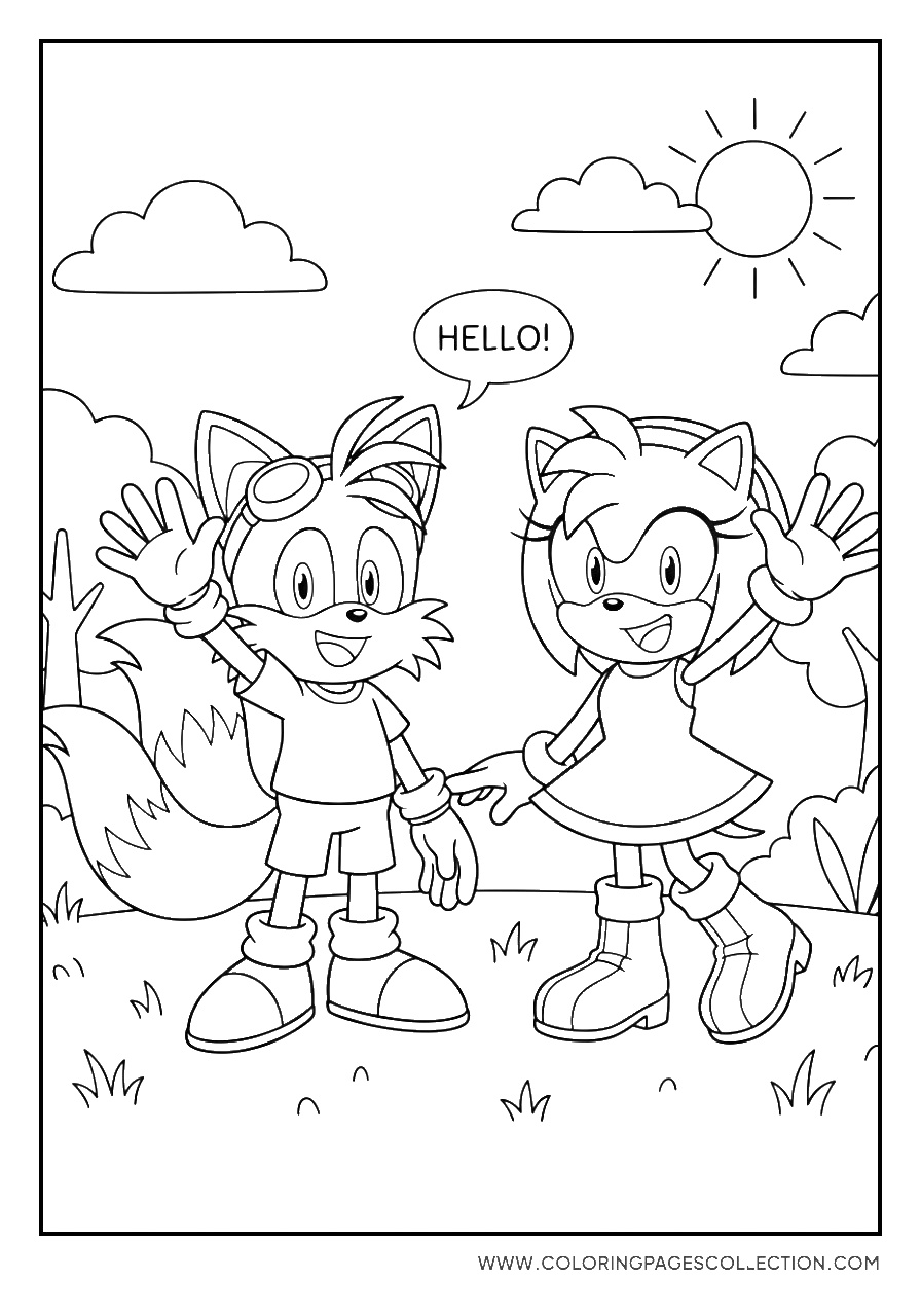 Tails with Amy Rose