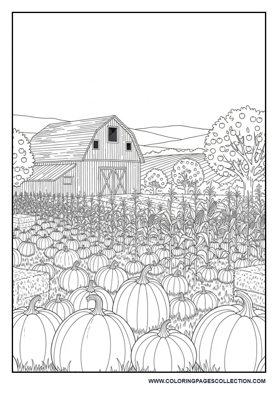 Harvest Barn in the Countryside