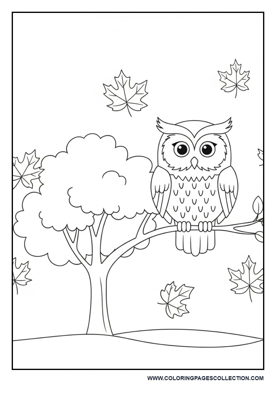 Owl in Autumn Tree