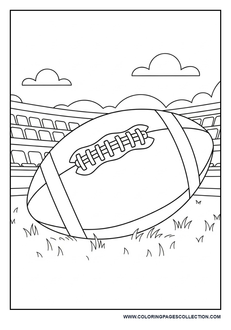 Football Ball on Field