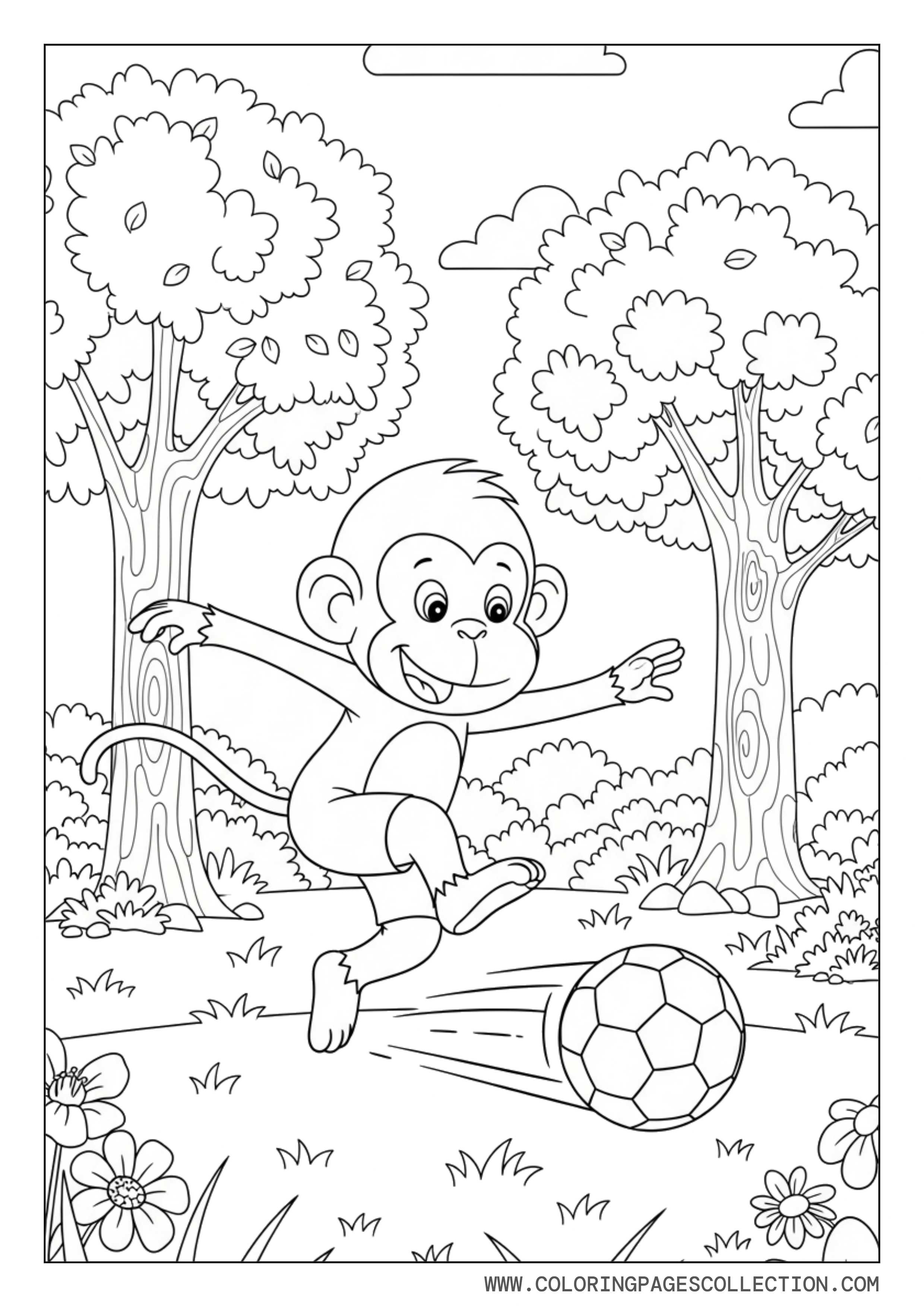 Funny Monkey Playing Soccer