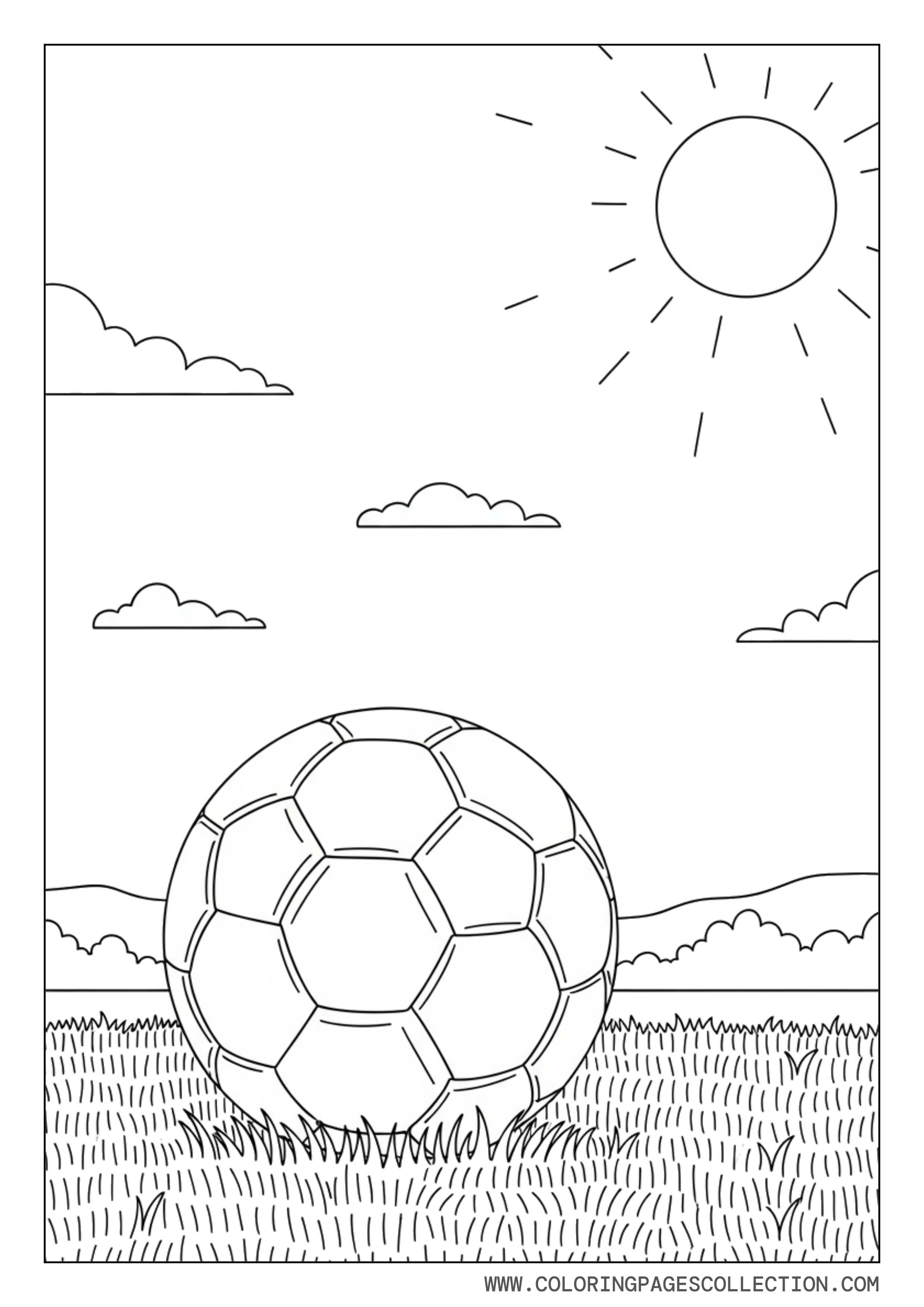 Soccer Ball on Grass Field