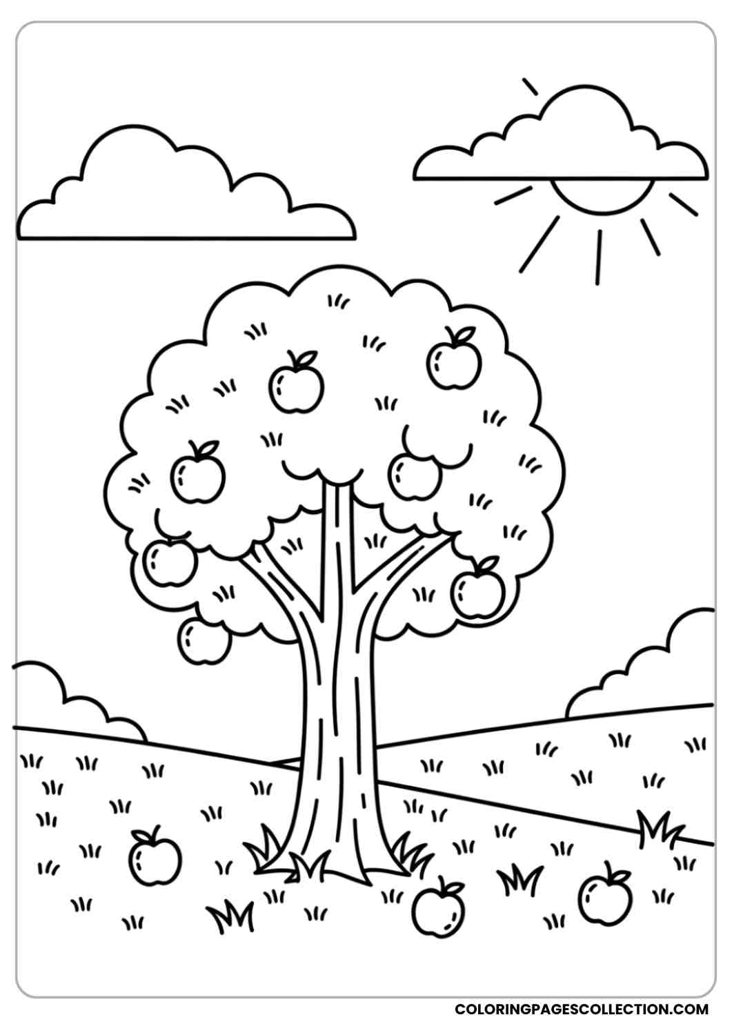 apple tree in sunny meadow