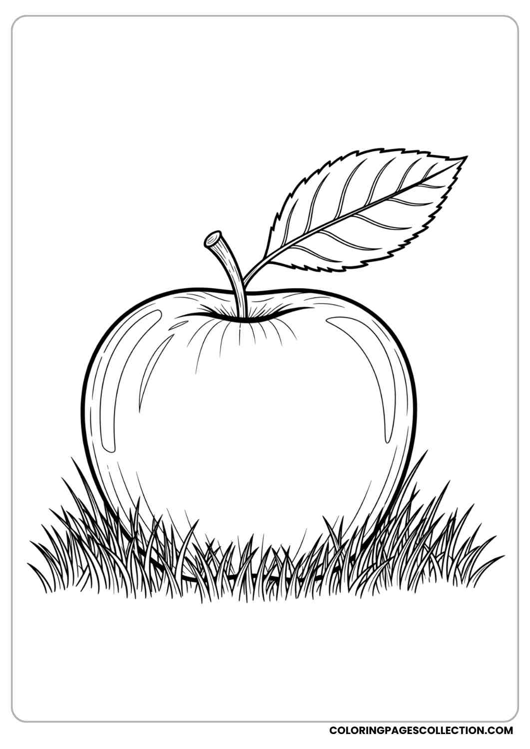 apple sitting on grass with big leaf