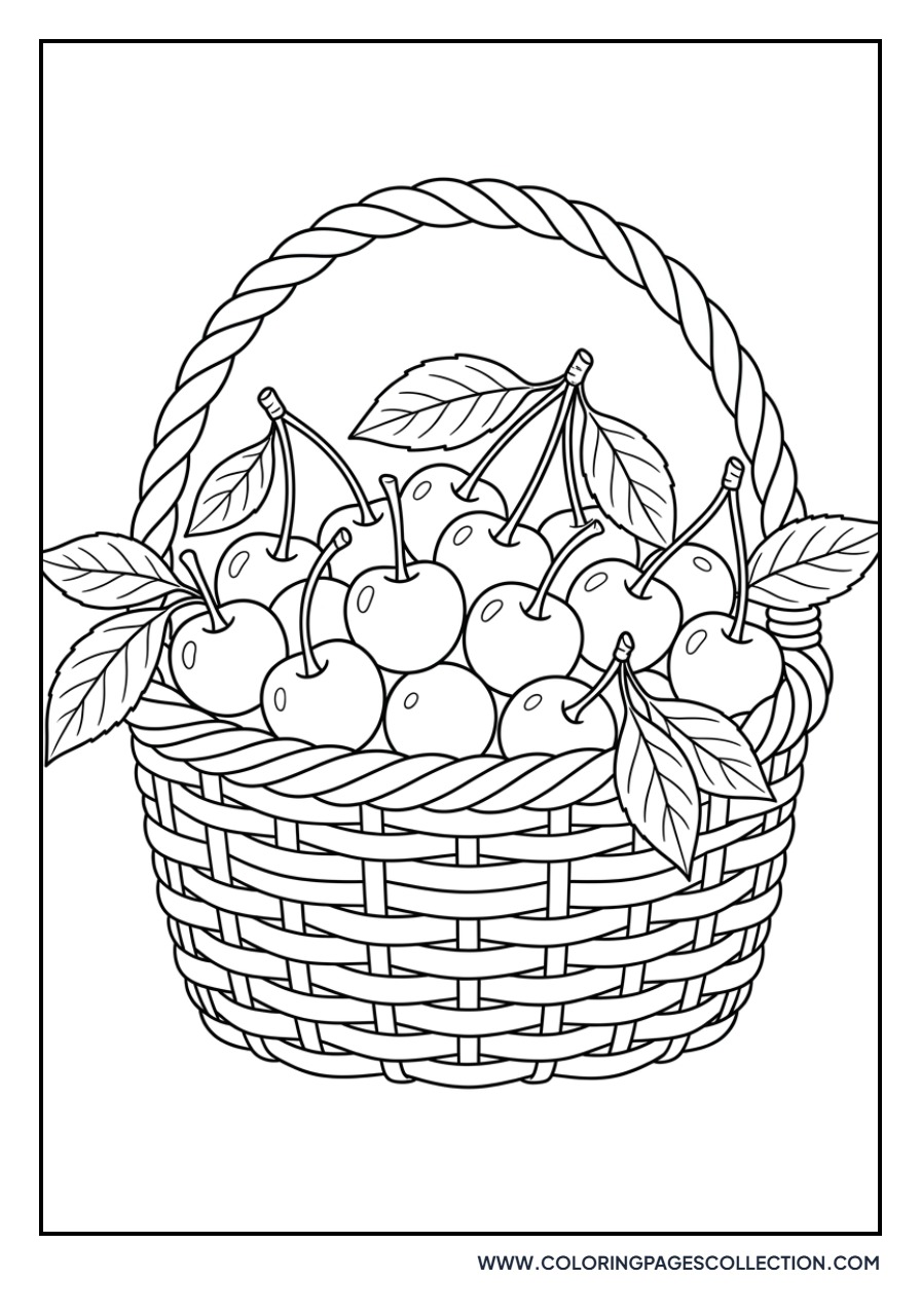 Basket of Summer Cherries