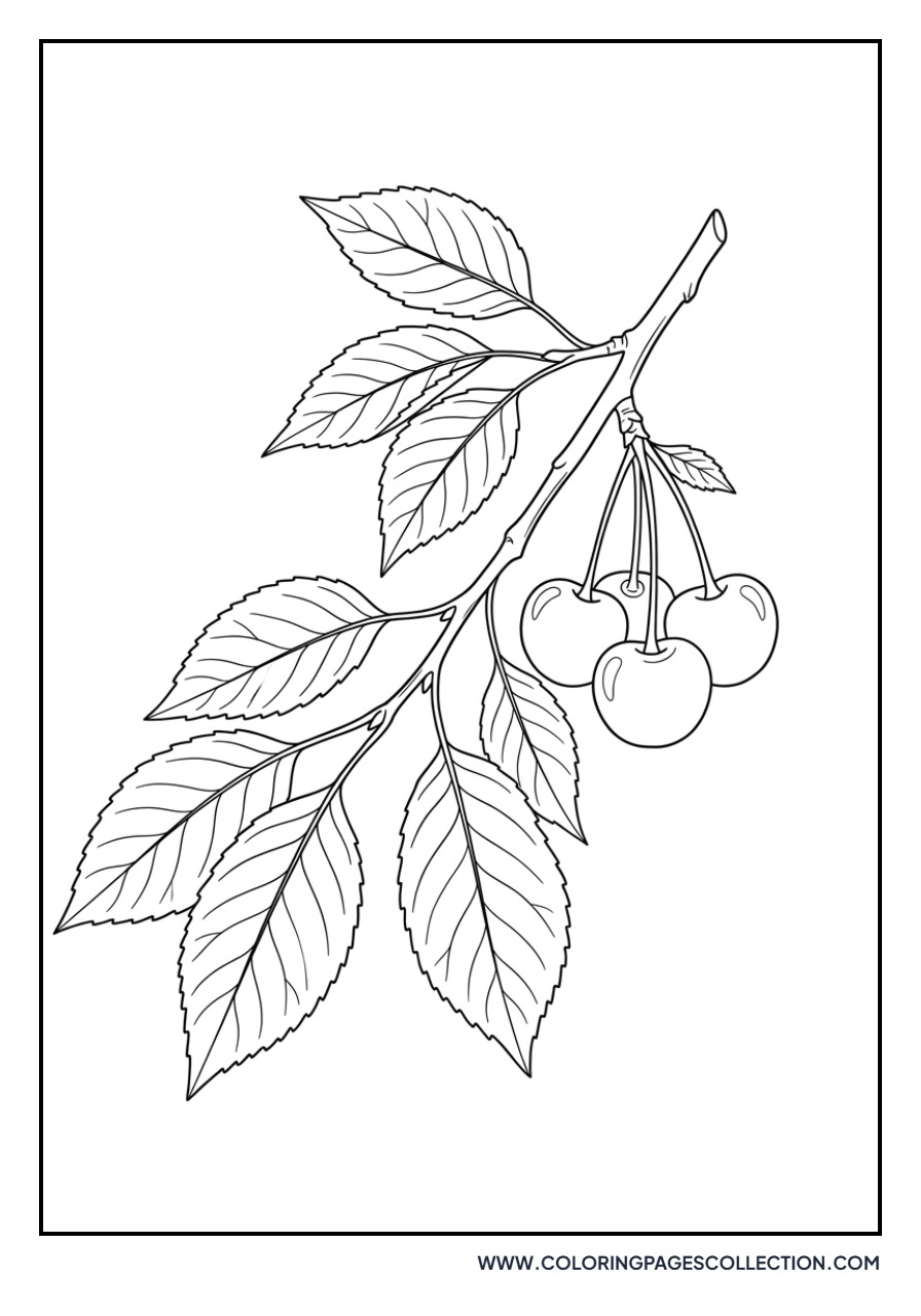 Botanical Cherry Branch Study