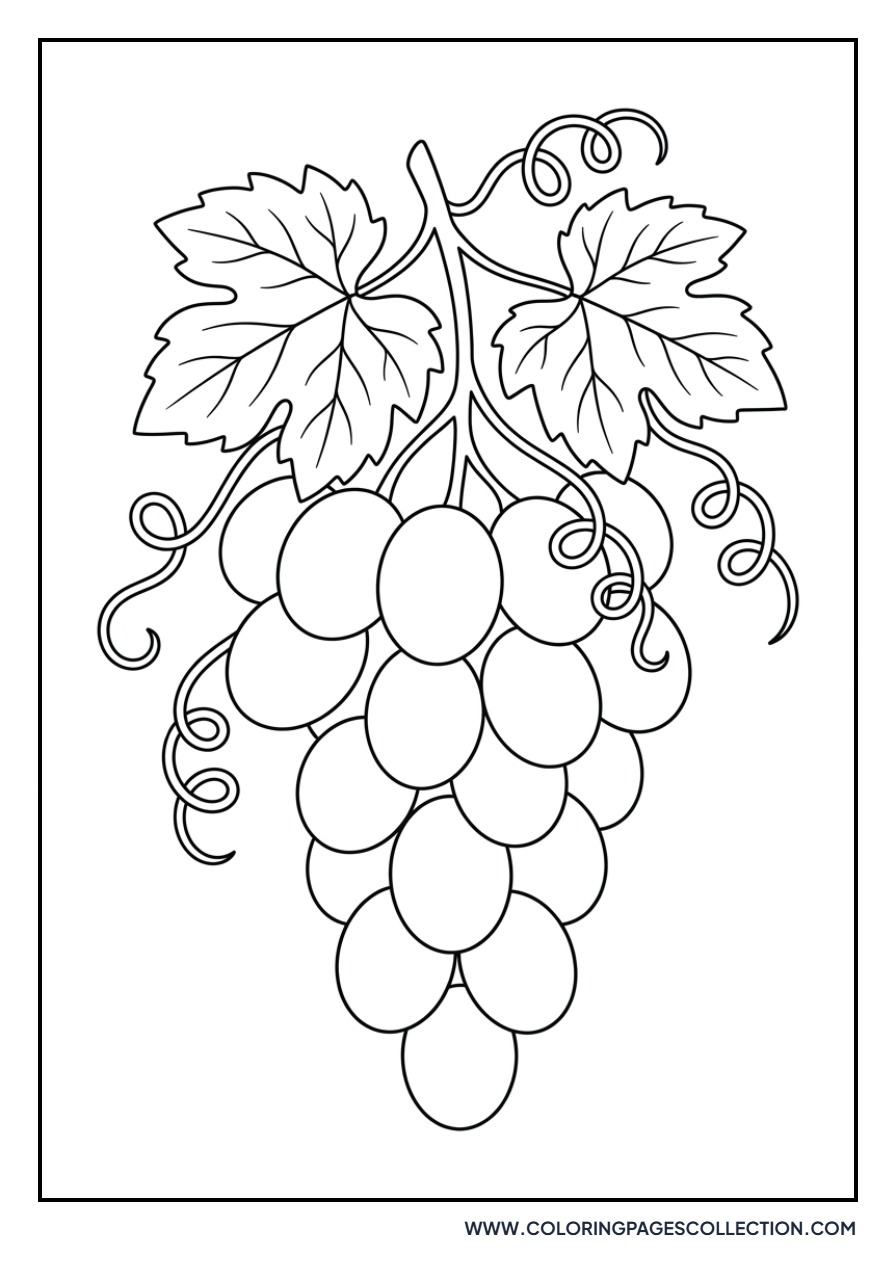 Detailed Grape Leaf and Cluster
