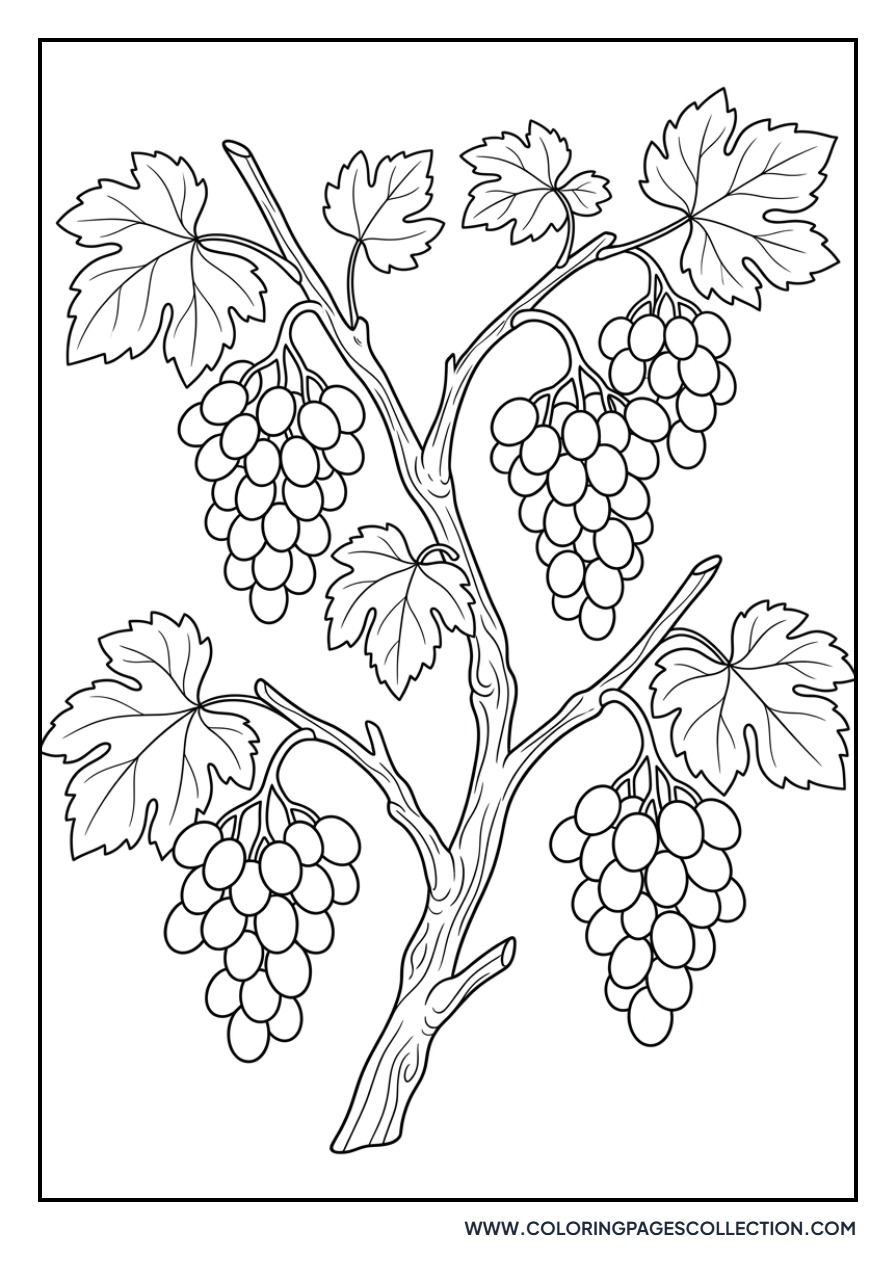 Detailed Grape Stem
