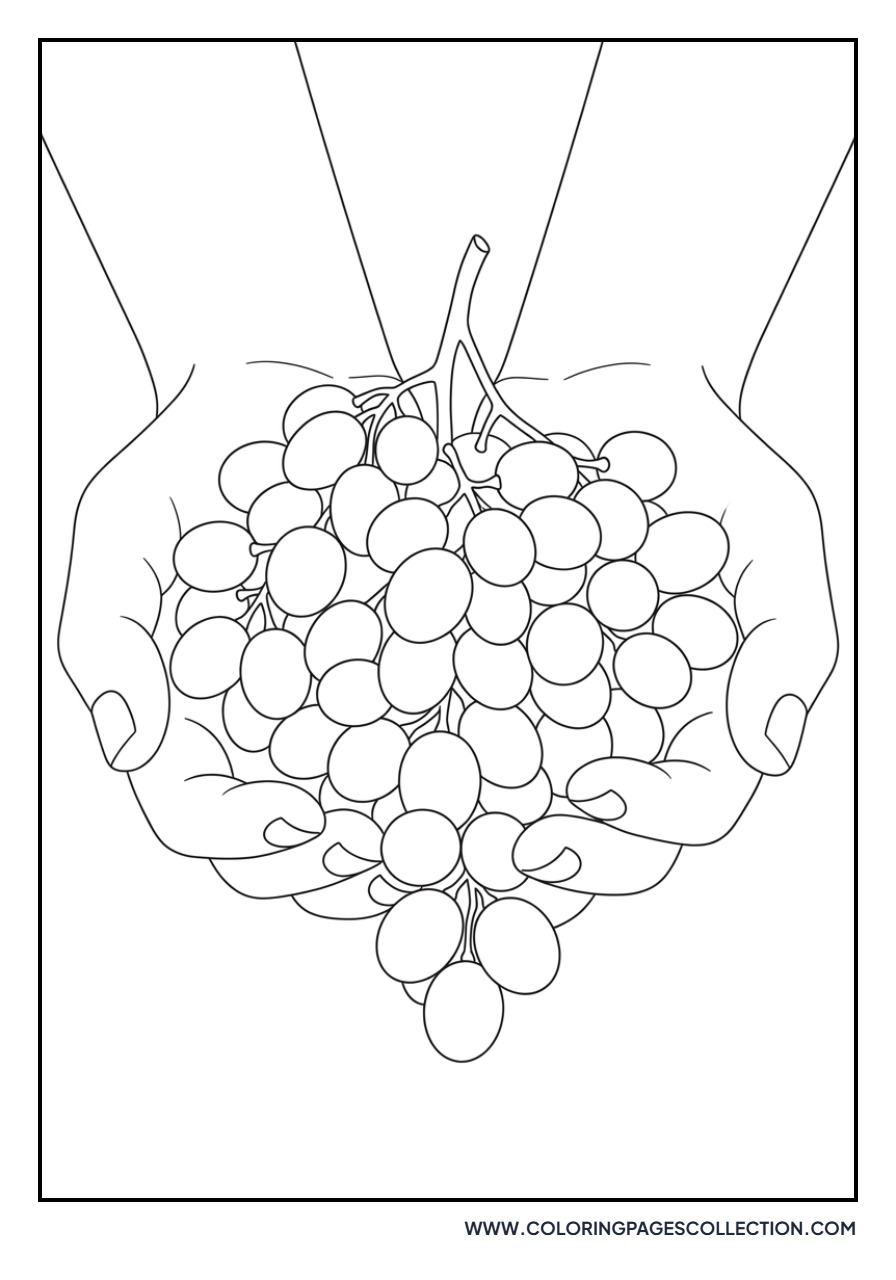 Grape Bunch in Hands