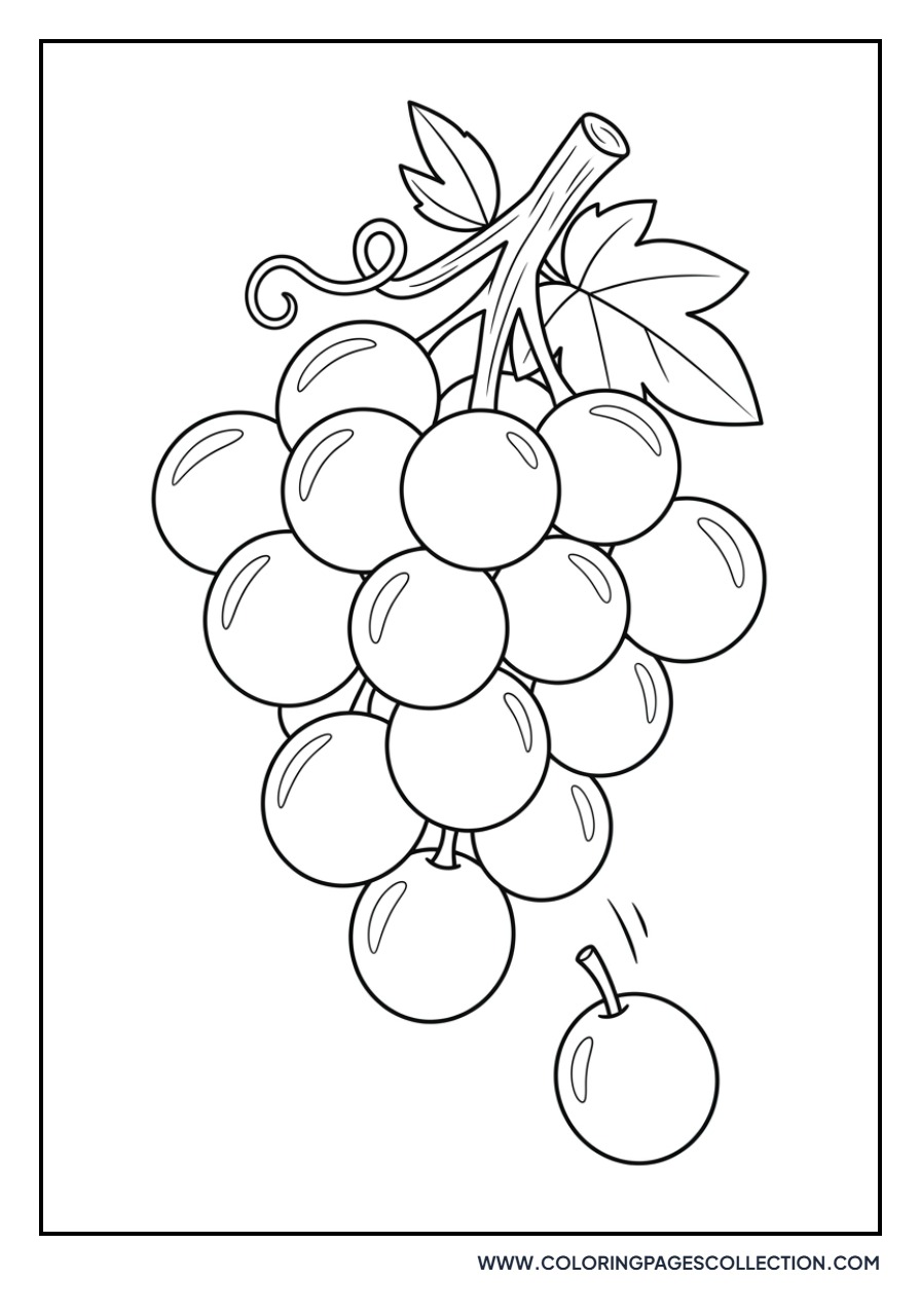 Grape Cluster with One Missing