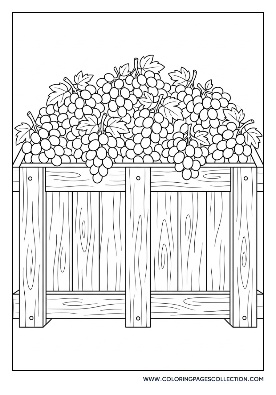 Grape Harvest Bin
