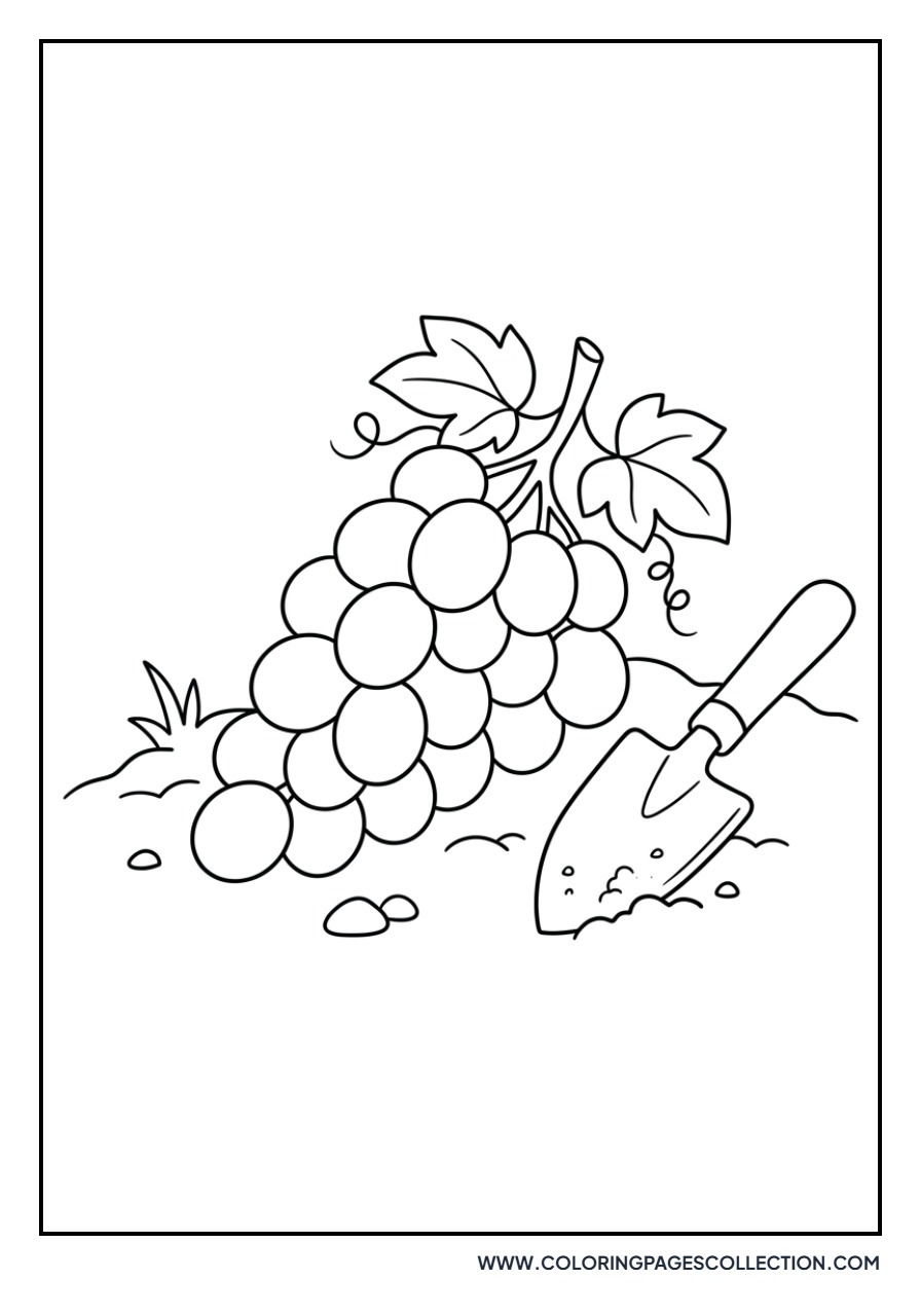 Grapes and a Garden Spade