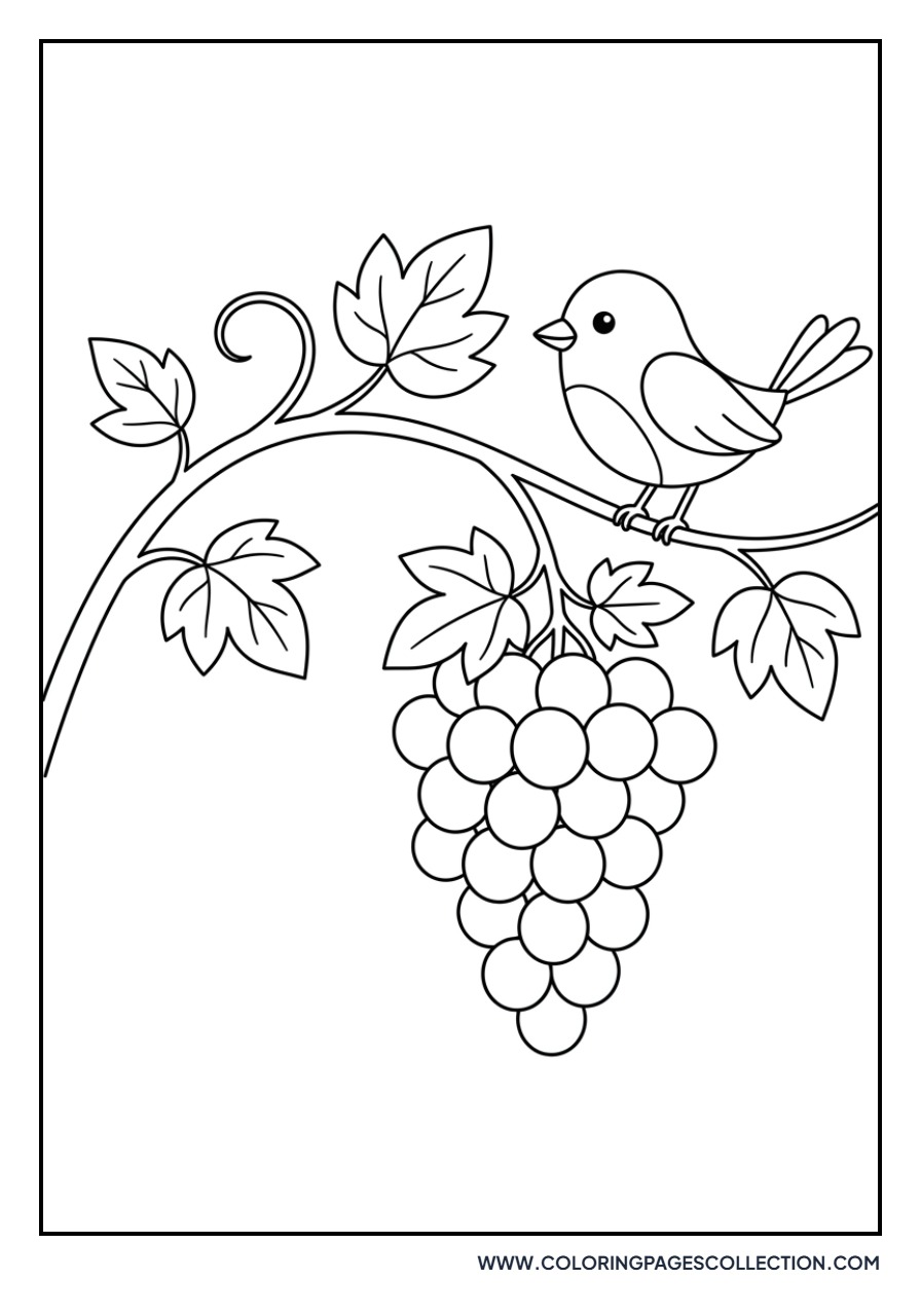 Grapes and Bird