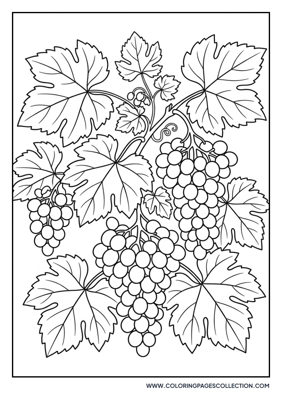 Grapes and Wine Leaves