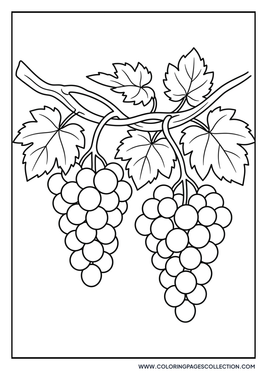 Grapes on a Branch