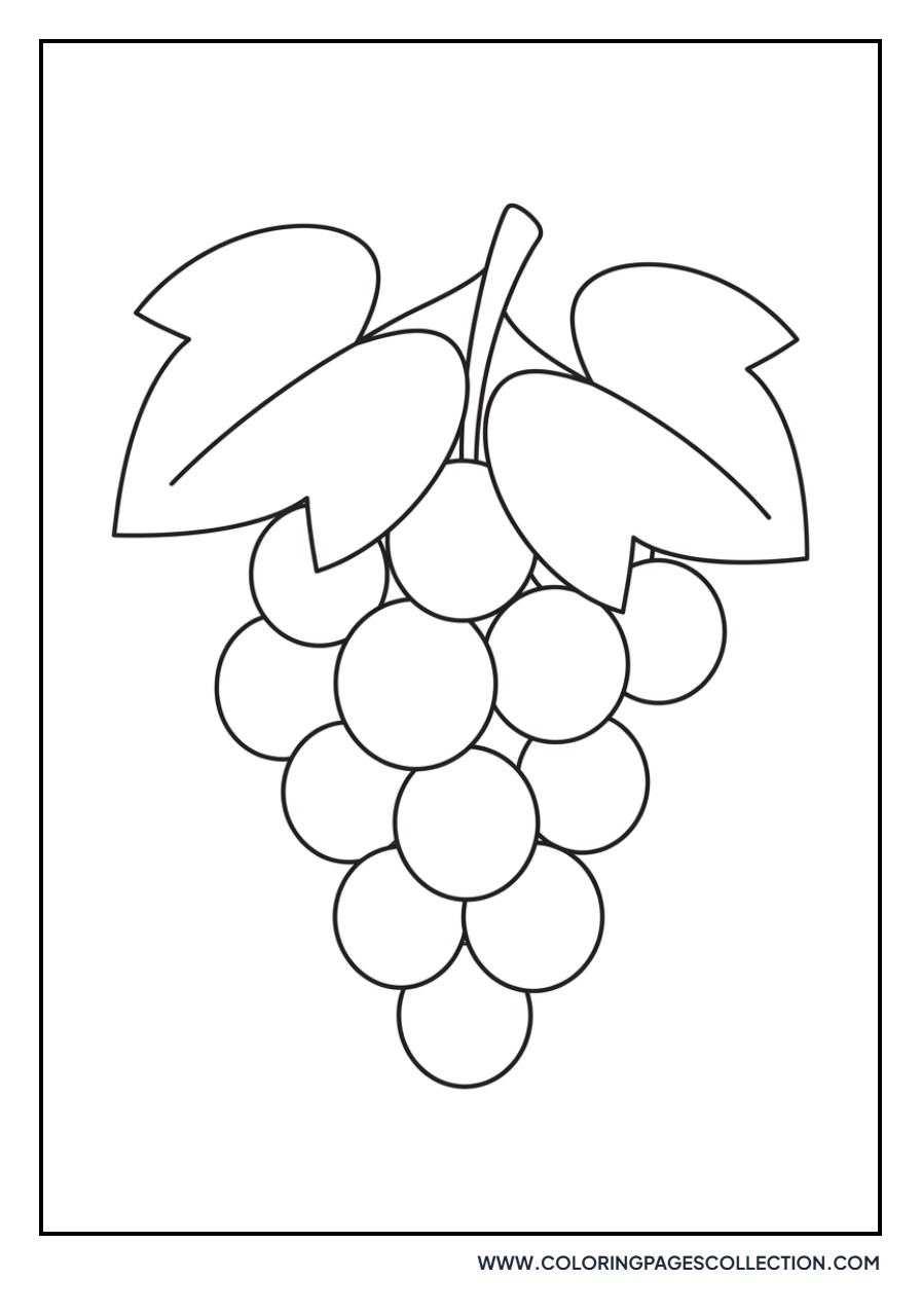 Grapes with Big Leaves