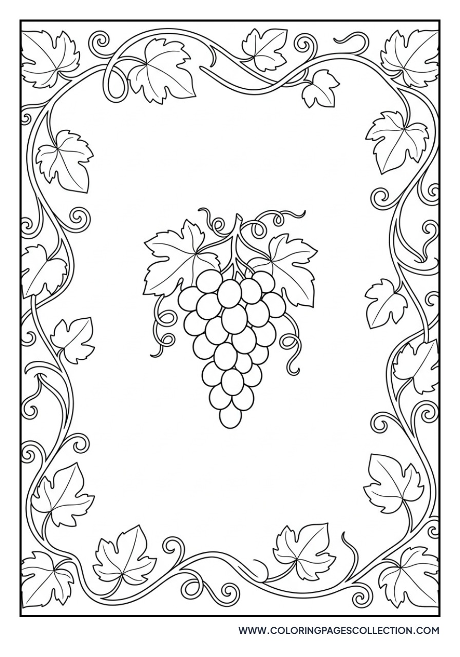 Grapevine Border