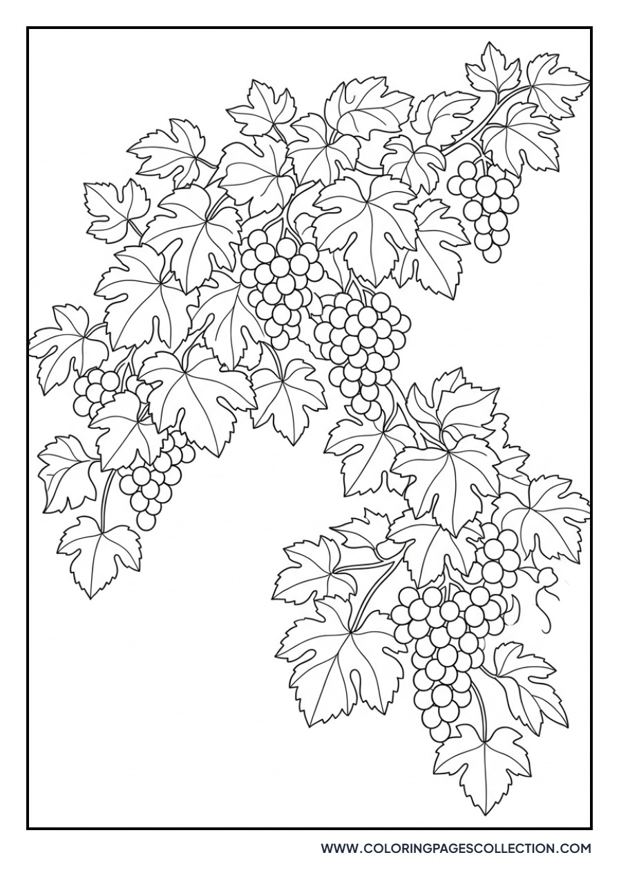 Grapevine with Many Leaves