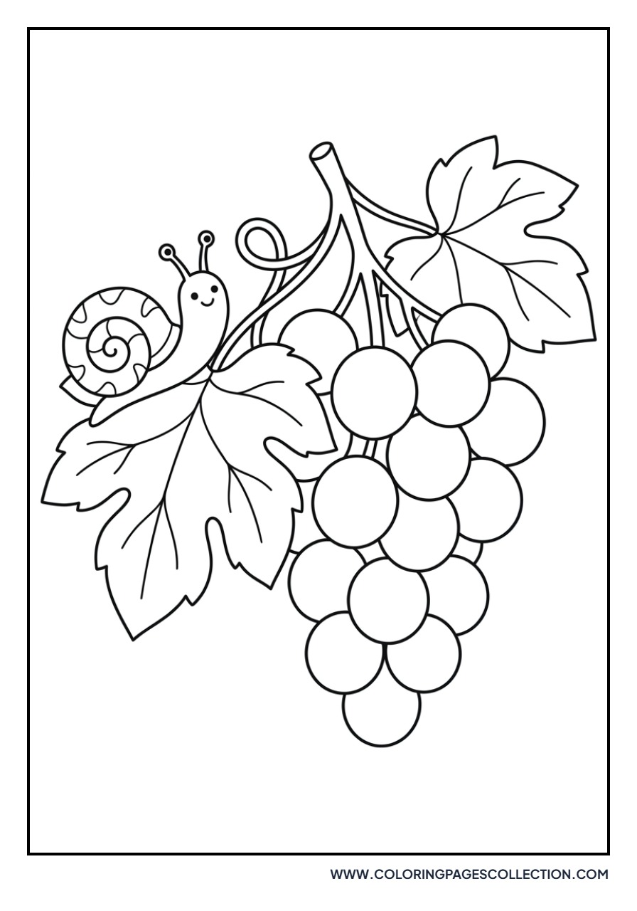 Grapevine with Snail