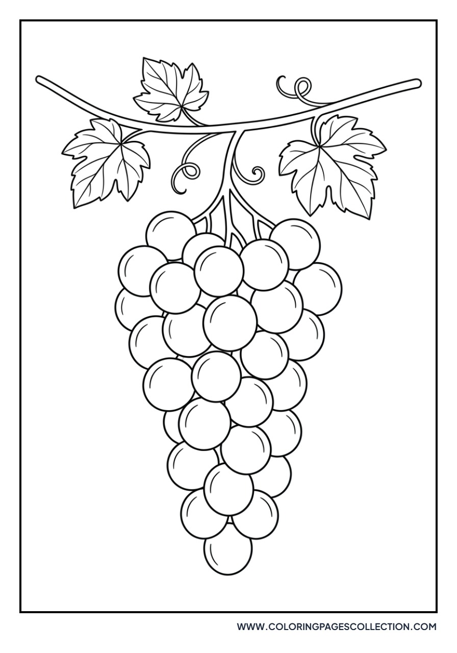 Hanging Grapes and Vines