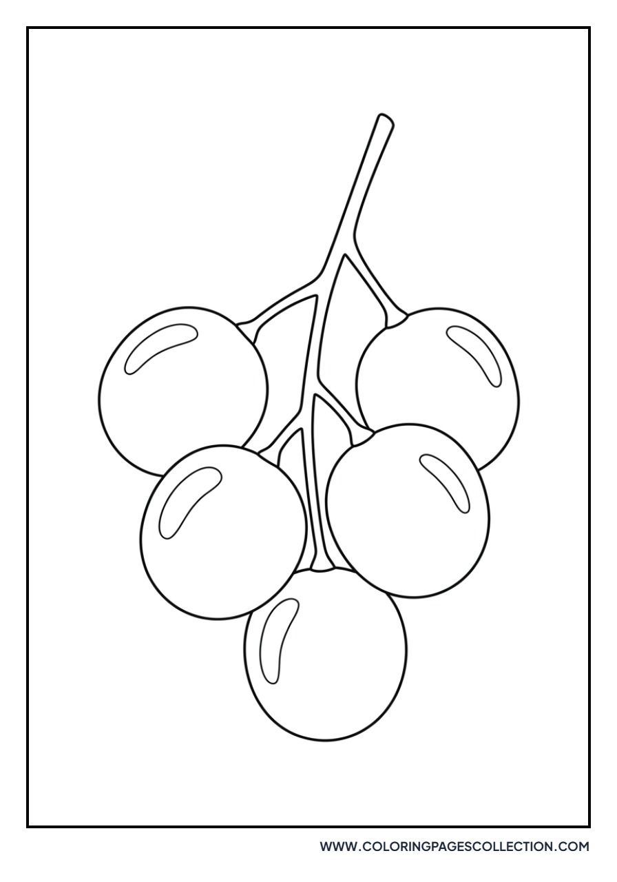 Juicy Grapes Close-up
