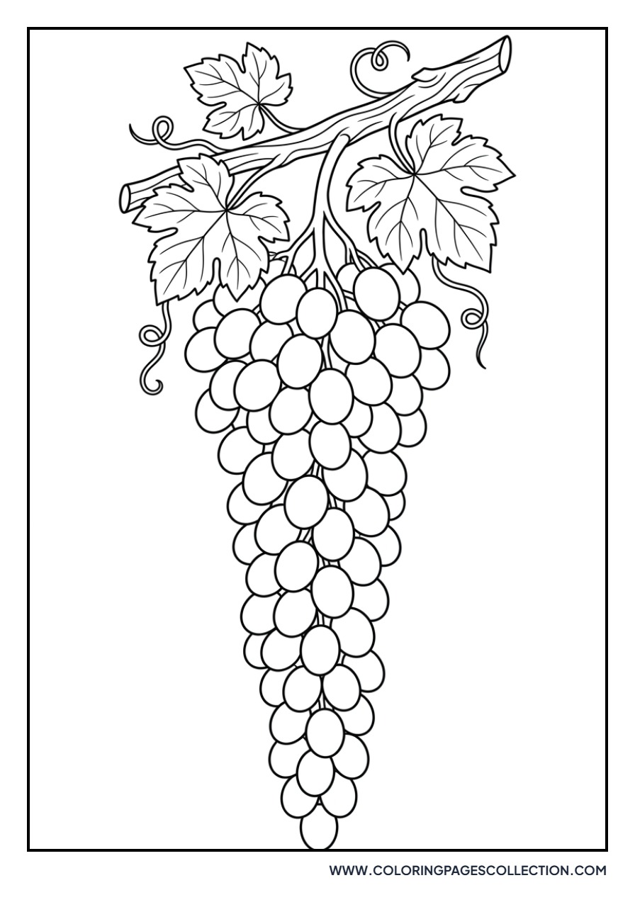 Long Grape Cluster