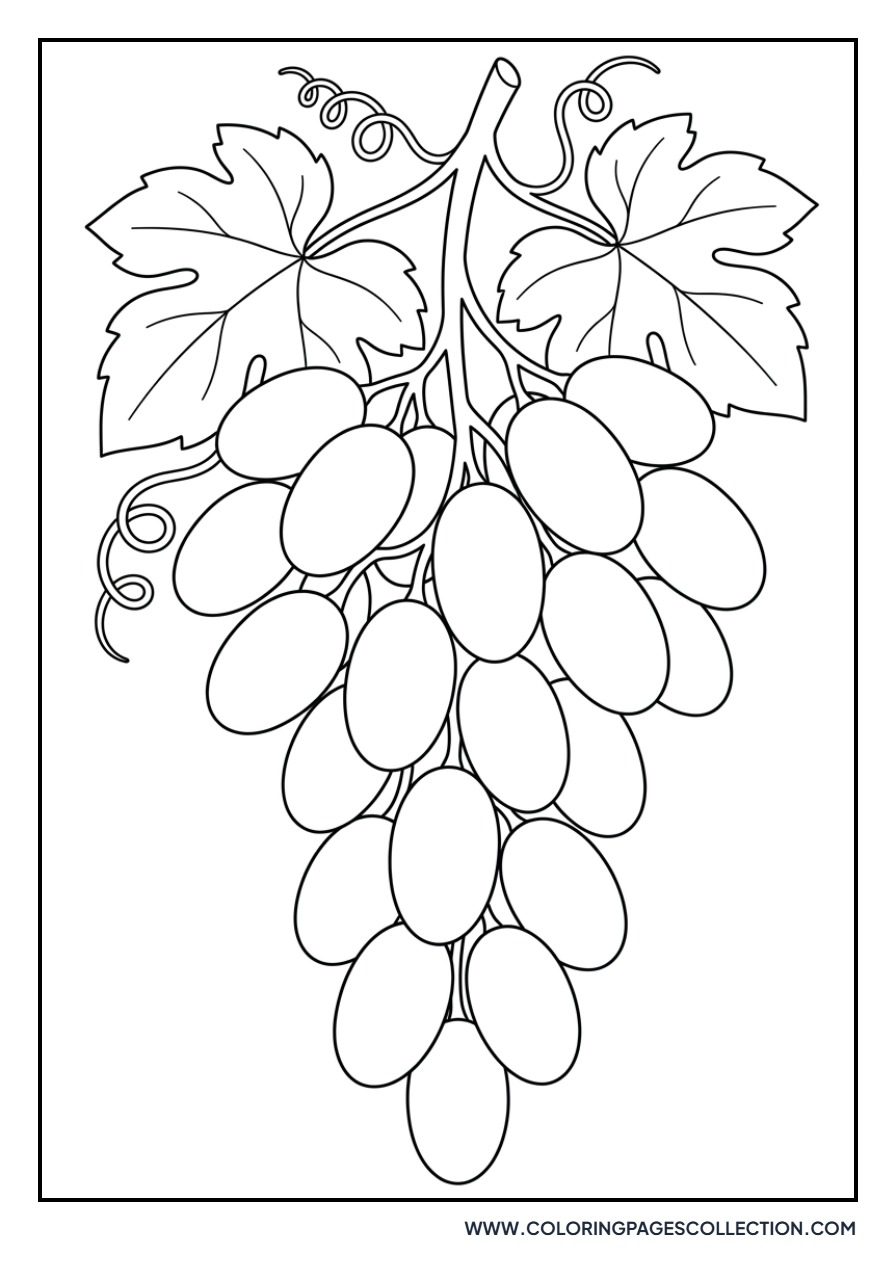 Oval Shaped Grapes