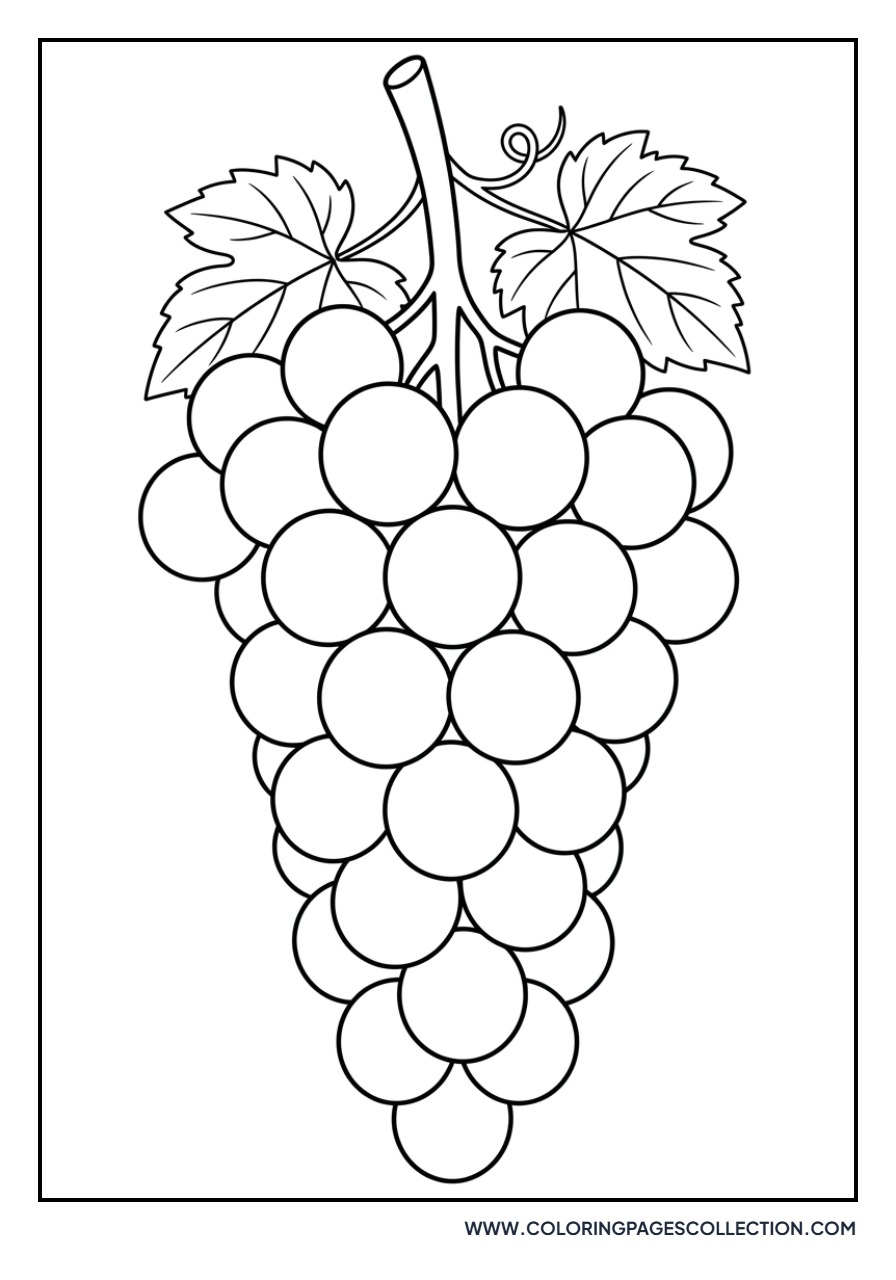 Round Table Grapes