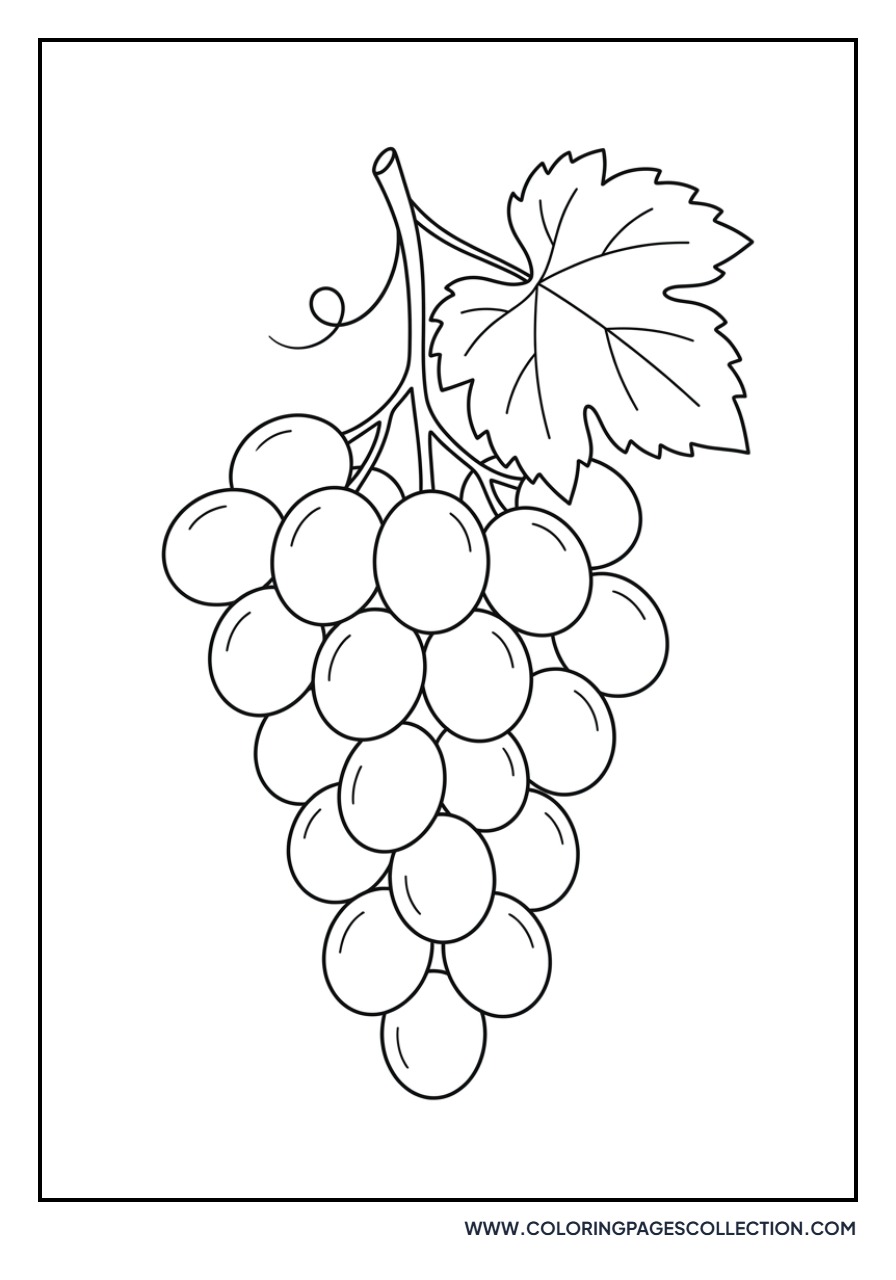 Simple Bunch of Grapes