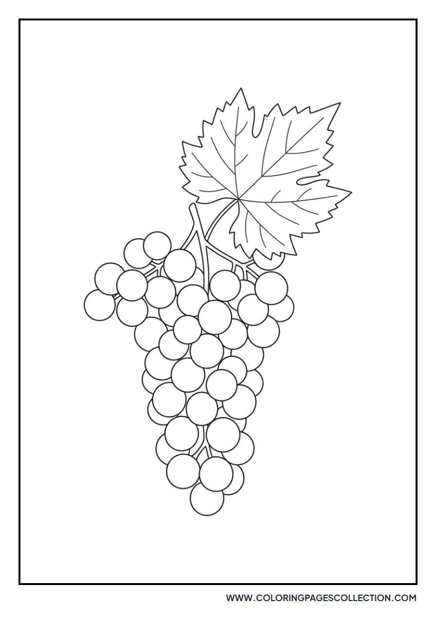 Small Wild Grapes