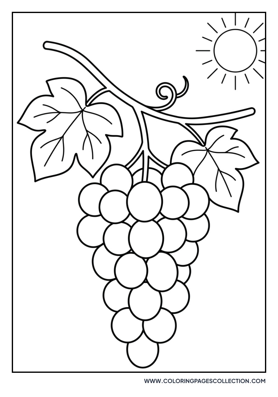 Sun Shining on Grapes