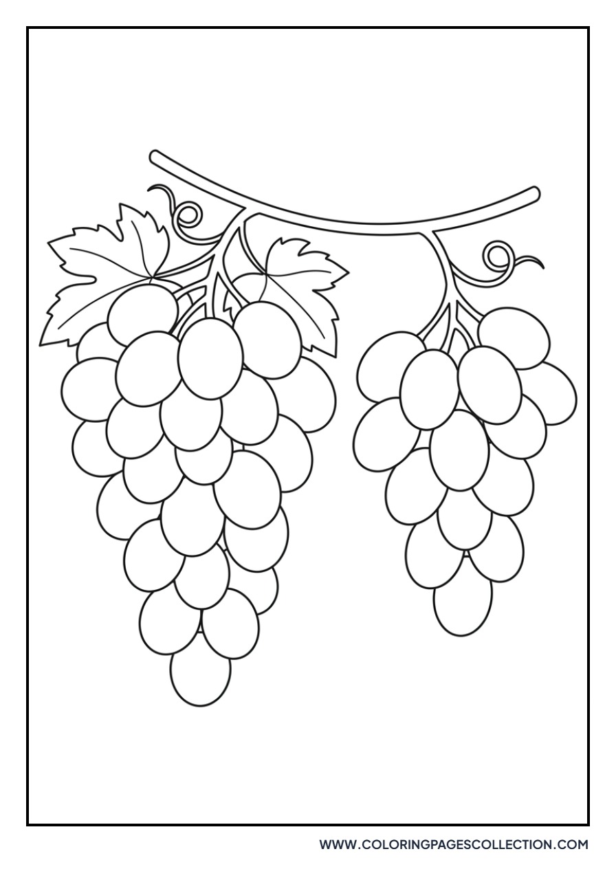 Two Different Grape Bunches