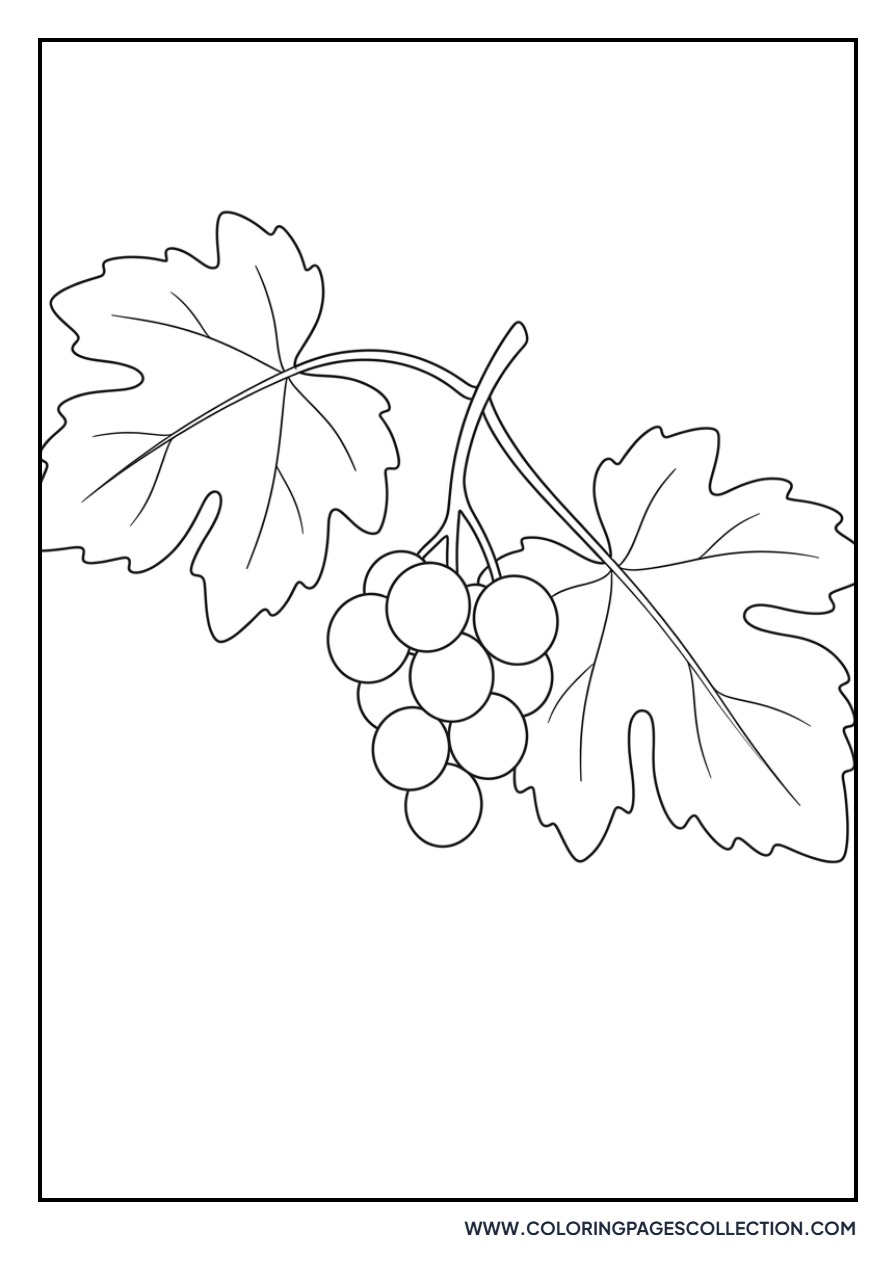 Two Large Leaves