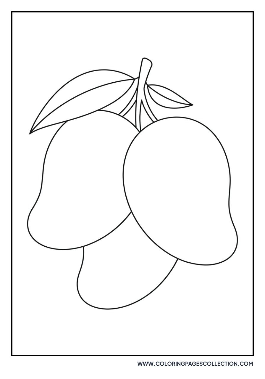 Bunch of Three Mangoes