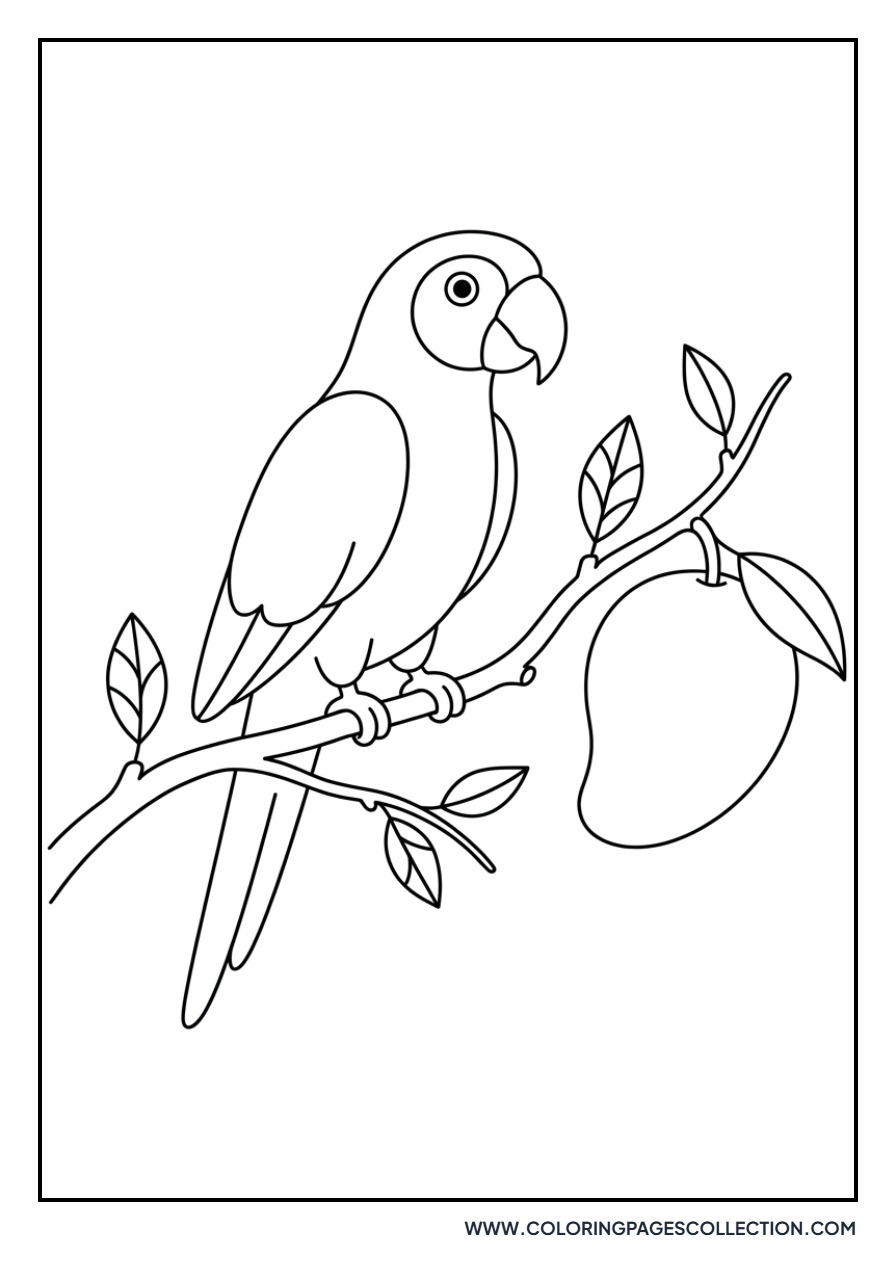 Mango and Tropical Bird